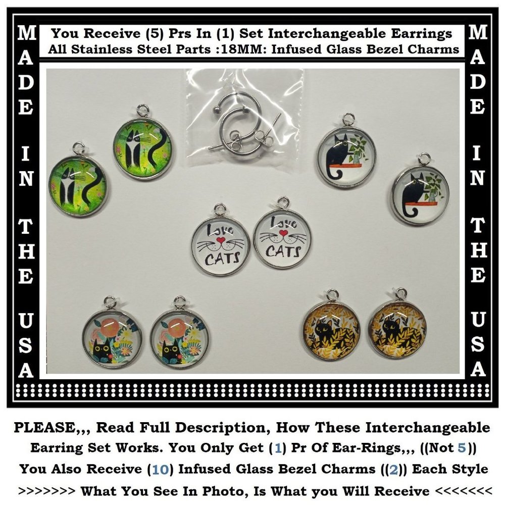 5/$20 Kitty Cat Stainless Steel Interchangeable Charm Earrings-5 Pairs in Set